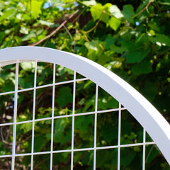 Arch-shaped Grid Backdrop
